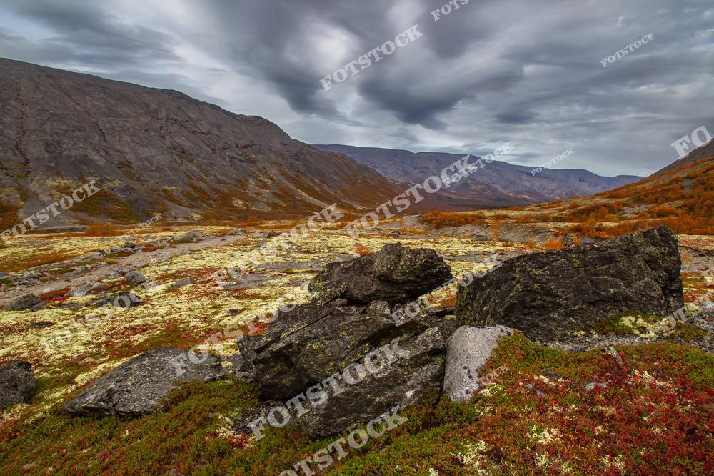 Фотография изображает каменистую долину в Хибинах, покрытую осенними мхами и кустарниками. Мрачное небо с низкими облаками подчеркивает суровую красоту северного пейзажа. Это место отражает уникальную природу Мурманской области и её дикие просторы.